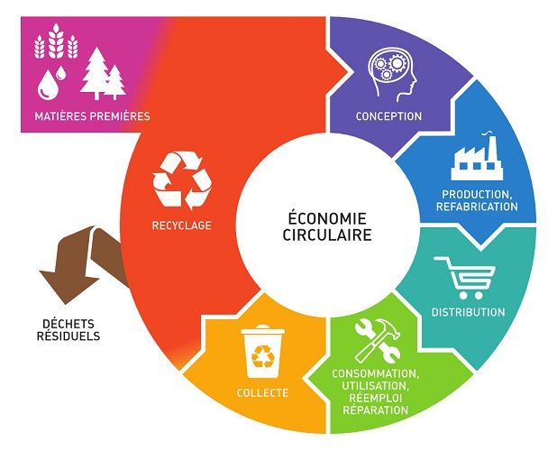 L'Économie circulaire : un pilier essentiel de la transition écologique 